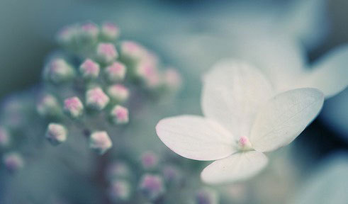 2015年最新七夕表白话语