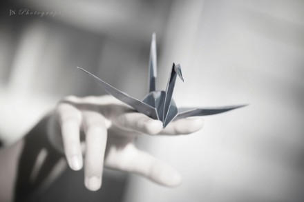 爆冷,冷的跌宕起伏